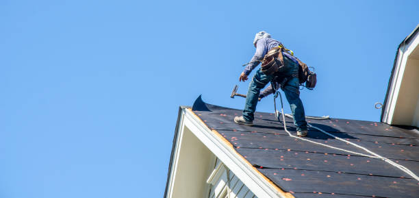 Best Flat Roof Repair Services  in Spring Green, WI